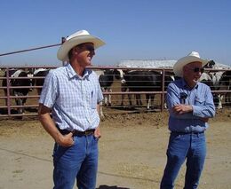 V Kalifornii hospodaří na rodinných farmách