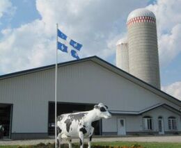 V zemi javorového listu