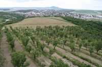 V Maďarsku staví na rodinných farmách