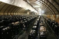 V Maďarsku staví na rodinných farmách