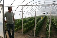 V Maďarsku staví na rodinných farmách