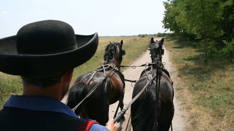V Maďarsku staví na rodinných farmách