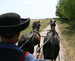 V Maďarsku staví na rodinných farmách