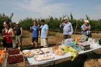 V Maďarsku staví na rodinných farmách