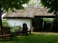 Jak se hospodaří kolegům v Maďarsku a Rumunsku