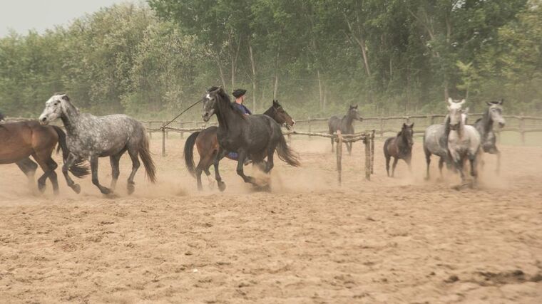 Exkurze na sever Maďarska a okolí s ASCHK ČR