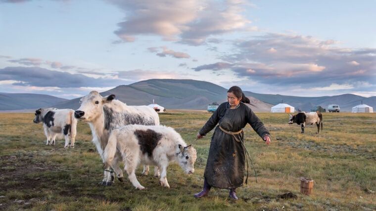 Za nomády do mongolské stepi