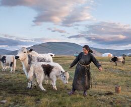 Za nomády do mongolské stepi