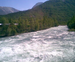 Klára Salzmann: Voda teče z kopce dolů