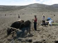 Peru a Bolívie očima zemědělce 