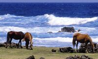 Peru a Bolívie očima zemědělce 