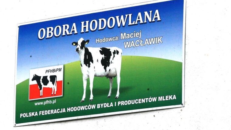 Jak je to skutečně s placením daní a pojistného v Polsku?