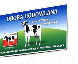 Jak je to skutečně s placením daní a pojistného v Polsku?