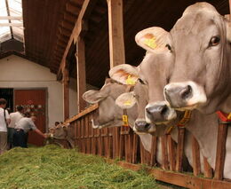 S ASZ a společností DuPont do Bavorska 