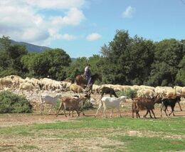 Křížem krážem Řeckem