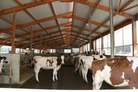 Sasko? Podobá se Česku víc, než bychom čekali…