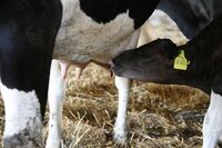 Sasko? Podobá se Česku víc, než bychom čekali…