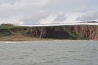 Skotsko není jen krásná krajina a památky, ale také velmi výkonné zemědělství