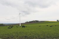 Skotsko není jen krásná krajina a památky, ale také velmi výkonné zemědělství