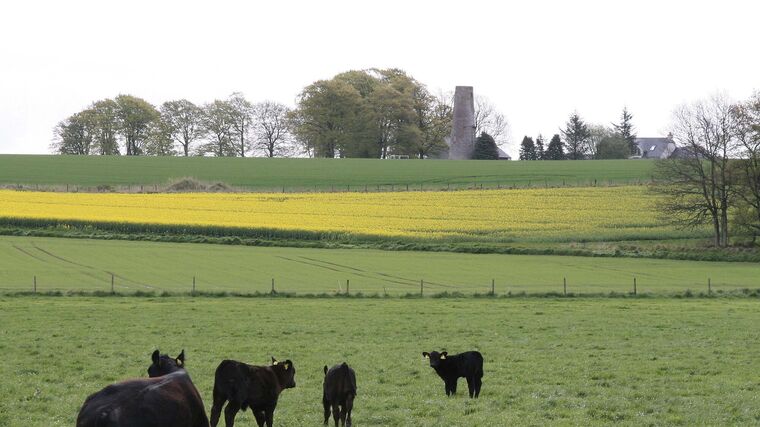 Skotsko není jen krásná krajina a památky, ale také velmi výkonné zemědělství