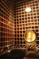 Skotsko není jen krásná krajina a památky, ale také velmi výkonné zemědělství