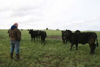 Skotsko není jen krásná krajina a památky, ale také velmi výkonné zemědělství Skotsko není jen krásná krajina a památky, ale také velmi výkonné zemědělství