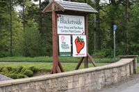 Skotsko není jen krásná krajina a památky, ale také velmi výkonné zemědělství