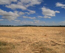 Nelehký život rodinných farem na Slovensku