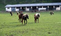 I slovinští farmáři zaznamenávají pokles cen mléka