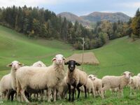 SLOVINSKO – země malých hospodářů