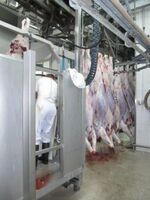 SLOVINSKO – země malých hospodářů