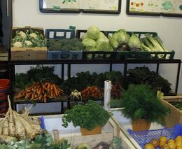 Budoucností nakupování v malých obcích by mohly být automatizované prodejny