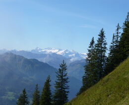 Červnový zájezd do Švýcarska!