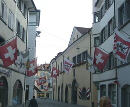 Subvence do zemědělství škodí životnímu prostředí