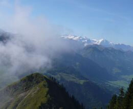 Ekonomické změny a globální oteplování ohrožují alpskou krajinu, mizí z ní dobytek i pastviny