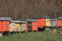 Toskánsko - tradiční hospodaření v podmínkách moderní doby