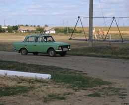 Ukrajinský kabinet ministrů plánuje nově zavést státní podporu na ekologickou produkci