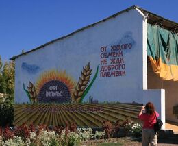 Válka v „obilnici Evropy“ může zvýšit ceny potravin. Česko má ale pšenice dost