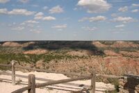 Členové ASZ poznávali zemědělství Kansasu, Texasu a Oklahomy