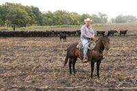 Členové ASZ poznávali zemědělství Kansasu, Texasu a Oklahomy