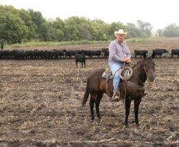 Gates je největším farmářem ve Spojených státech