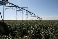 Členové ASZ poznávali zemědělství Kansasu, Texasu a Oklahomy