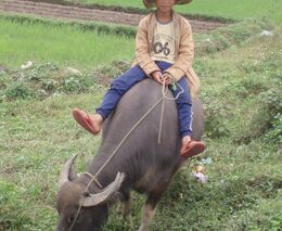 První fotky ze zájezdu do Vietnamu