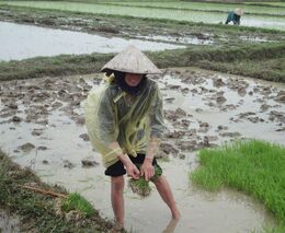 Z Putinovy agrese se zvedá žaludek, milionům v něm však bude kručet. Má potravinová krize řešení?