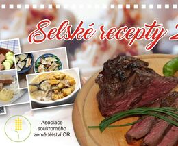 Možnost objednání originálního kalendáře ASZ na rok 2021