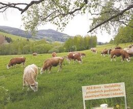 Selská revue č. 4/2021 právě zamířila do tisku