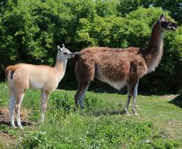 Týden podle PH č. 43 - 2018 (pH týdne: 7)