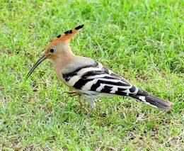 Vysočina má 152 přírodních památek a rezervací, loni přibyly tři