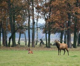 Smlouvy o pronájmu honitby. Poslední příležitost na změnu.