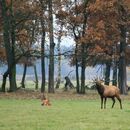 Smlouvy o pronájmu honitby. Poslední příležitost na změnu.
